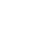 Zyler Logo